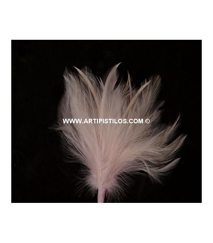 BOUQUET PLUMES D´OIE/COQ