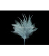 BOUQUET PLUMES D´OIE/COQ