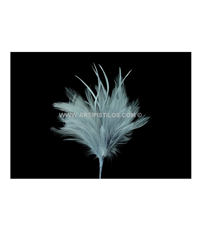 BOUQUET PLUMES D´OIE/COQ