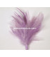 BOUQUET PLUMES D´OIE/COQ