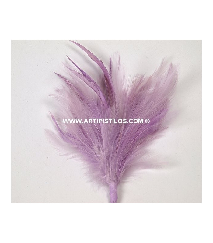 BOUQUET PLUMES D´OIE/COQ