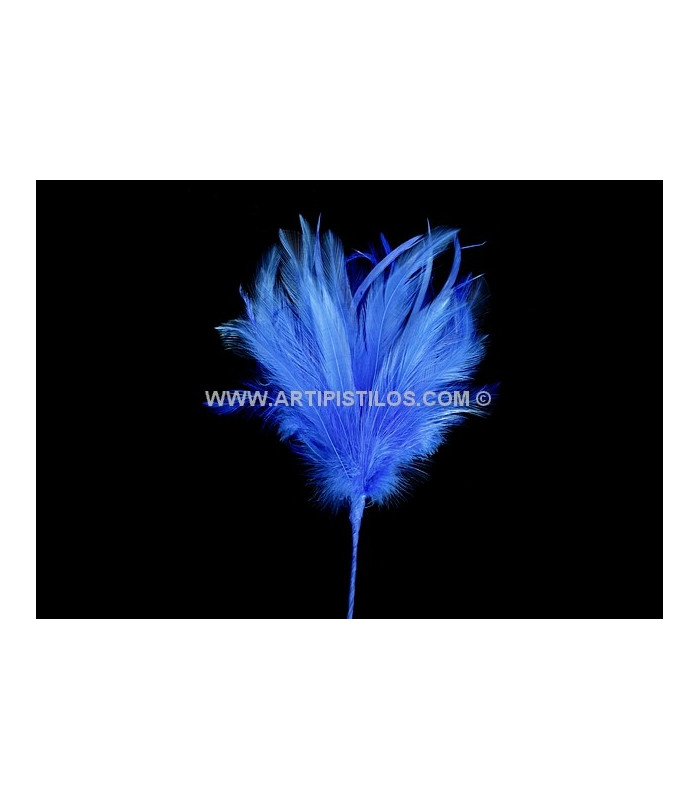 BOUQUET PLUMES D´OIE/COQ