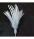 BOUQUET PLUMES D´OIE/COQ
