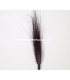 BOUQUET PLUMES PAON BRÛLÉ