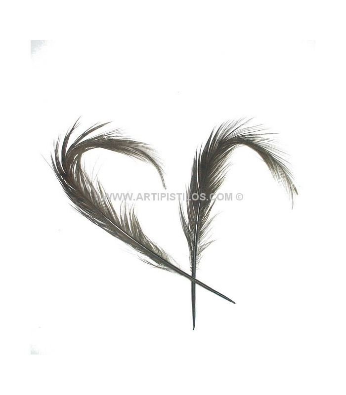 LOT DE 2 PLUMES DE FAISAN BRÛLÉ