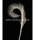 LOT DE 2 PLUMES DE FAISAN BRÛLÉ