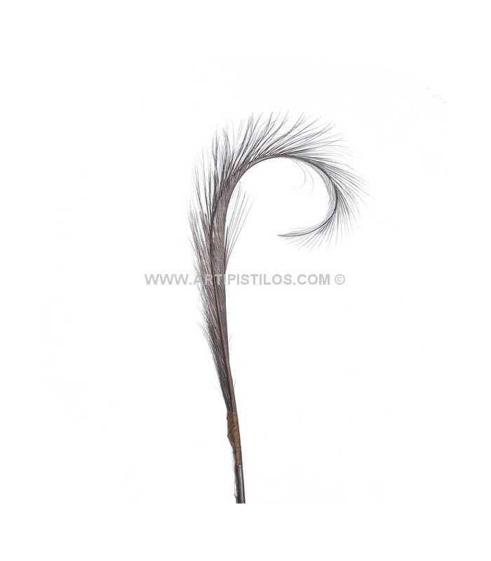 LOT DE 2 PLUMES DE FAISAN BRÛLÉ