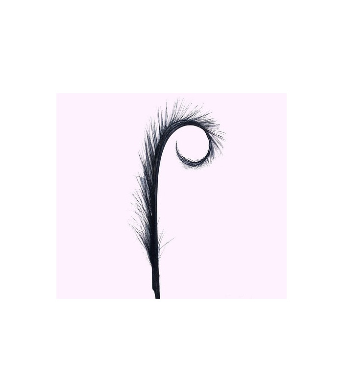 LOT DE 2 PLUMES DE FAISAN BRÛLÉ