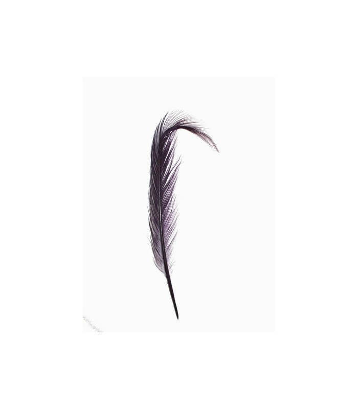 LOT DE 2 PLUMES DE FAISAN BRÛLÉ