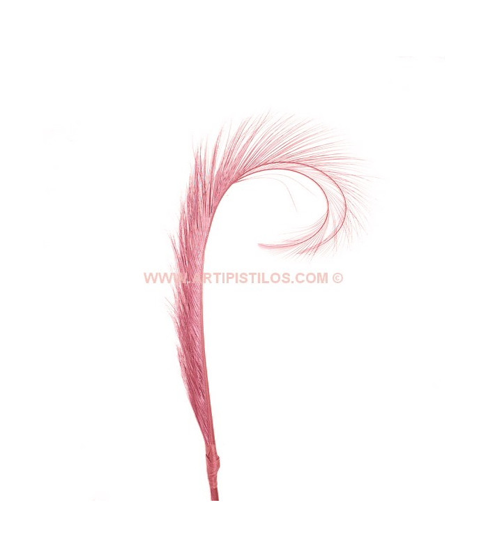 LOT DE 2 PLUMES DE FAISAN BRÛLÉ