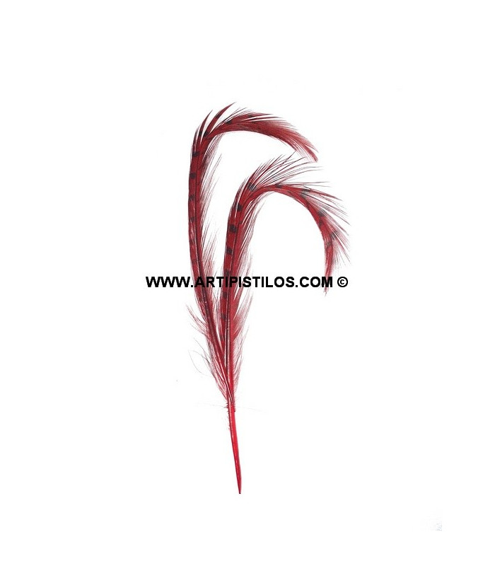 LOT DE 2 PLUMES DE FAISAN BRÛLÉ