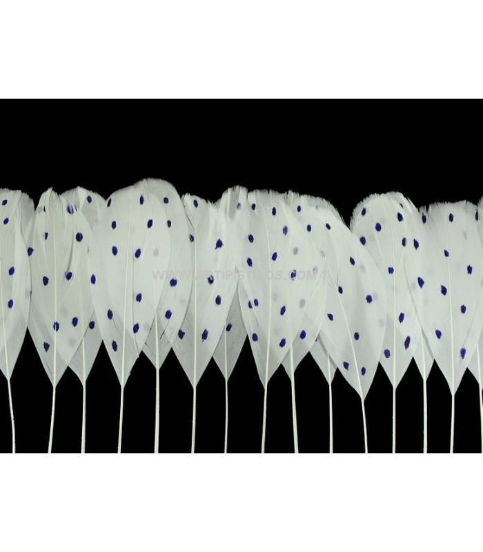 FRANGE DE PLUMES DE CANARD À POIS 25 CMS.
