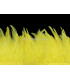 FRANGE DE PLUMES DE COQ 10 CMS.