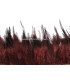 FRANGE DE PLUMES DE COQ 10 CMS.