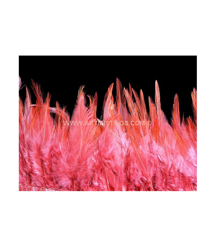 FRANGE DE PLUMES DE COQ 10 CMS.