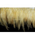 FRANGE DE PLUMES DE COQ 10 CMS.