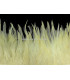 FRANGE DE PLUMES DE COQ 10 CMS.