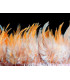 FRANGE DE PLUMES DE COQ 10 CMS.