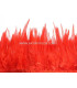 FRANGE DE PLUMES DE COQ 10 CMS.