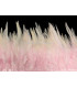 FRANGE DE PLUMES DE COQ 10 CMS.