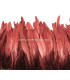 FRANGE DE PLUMES DE COQ