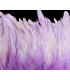 FRANGE DE PLUMES DE COQ