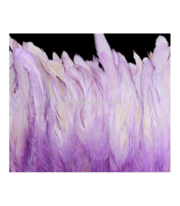FRANGE DE PLUMES DE COQ