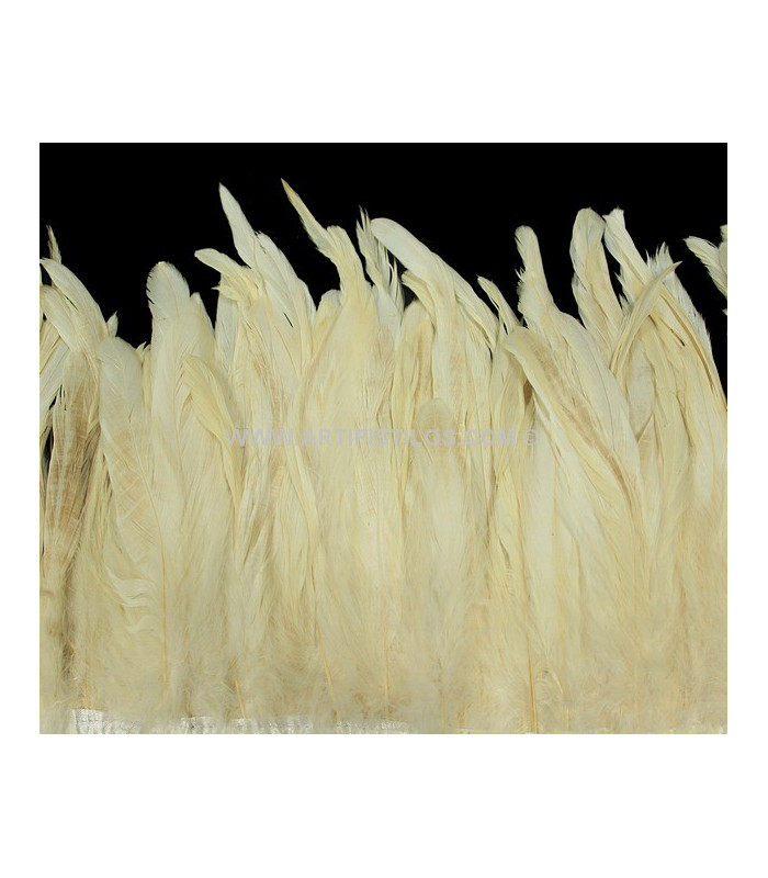 FRANGE DE PLUMES DE COQ