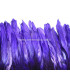FRANGE DE PLUMES DE COQ