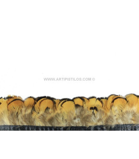 FRANGE DE PLUMES DE FAISAN 10 CMS.