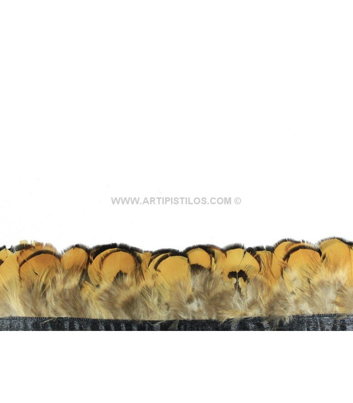 FRANGE DE PLUMES DE FAISAN 10 CMS.