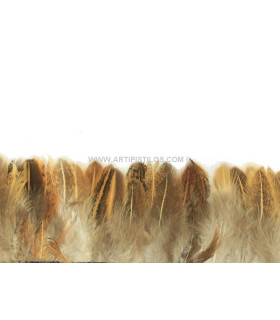 FRANGE DE PLUMES DE FAISAN 10 CMS.