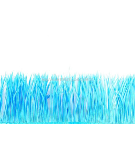 FRANGE D´OIE BIOT MINI