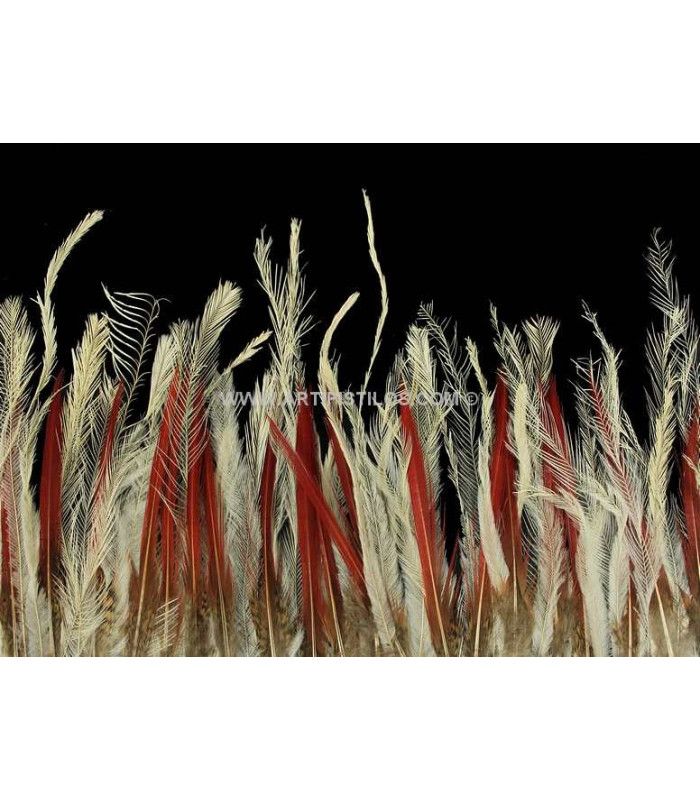 FRANGE D´ÉMOU/FAISAN