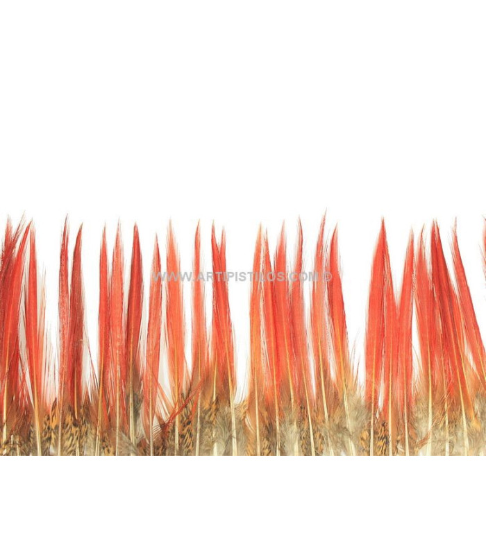 FRANGE DE PLUMES DE FAISAN