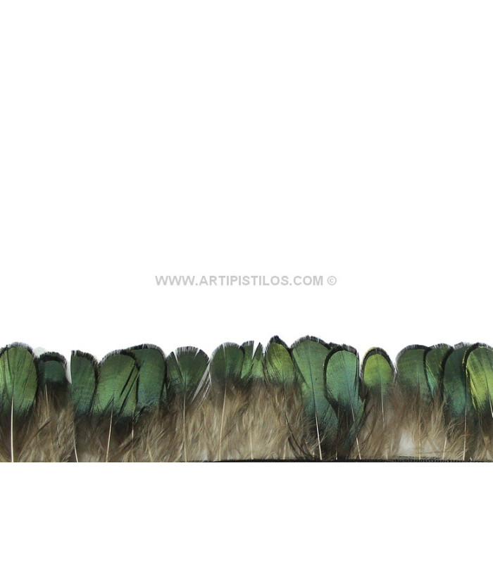 FRANGE DE PLUMES DE FAISAN 10 CMS.