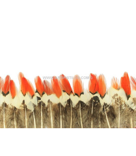 FRANGE DE PLUMES DE FAISAN