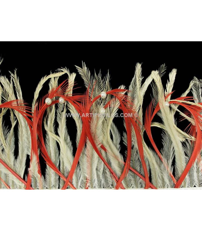 FRANGE DE PLUMES D´ÉMOU/OIE BIOT