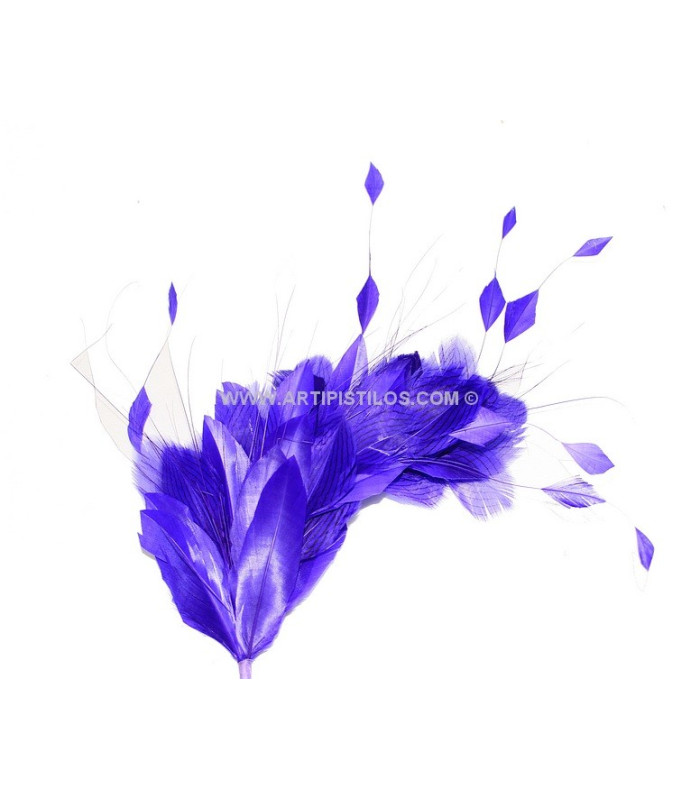 MONTAGE DE PLUMES