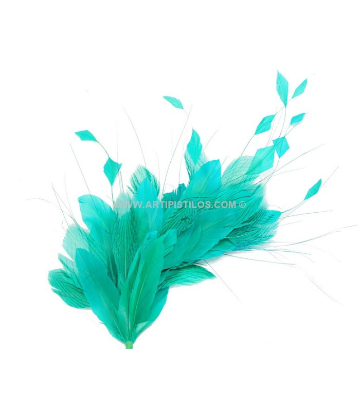 MONTAGE DE PLUMES