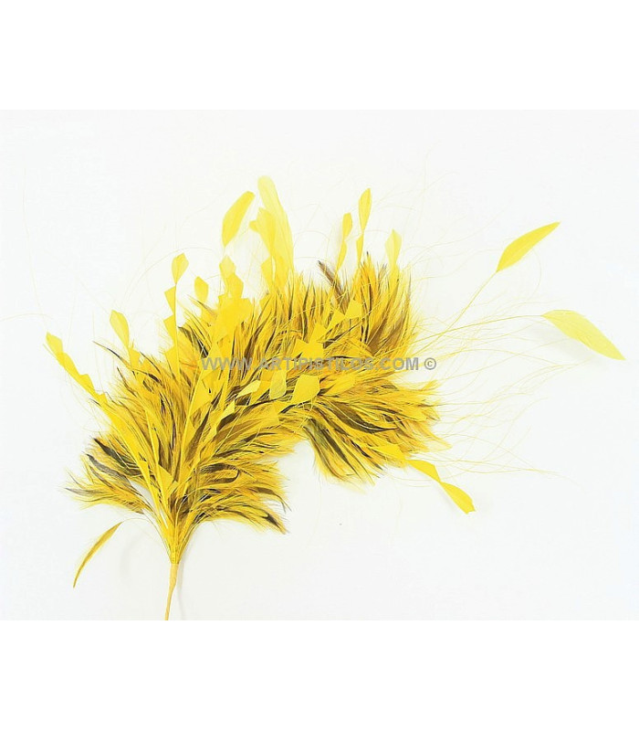 MONTAGE DE PLUMES
