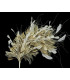 MONTAGE DE PLUMES