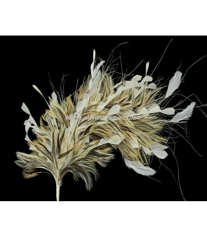 MONTAGE DE PLUMES
