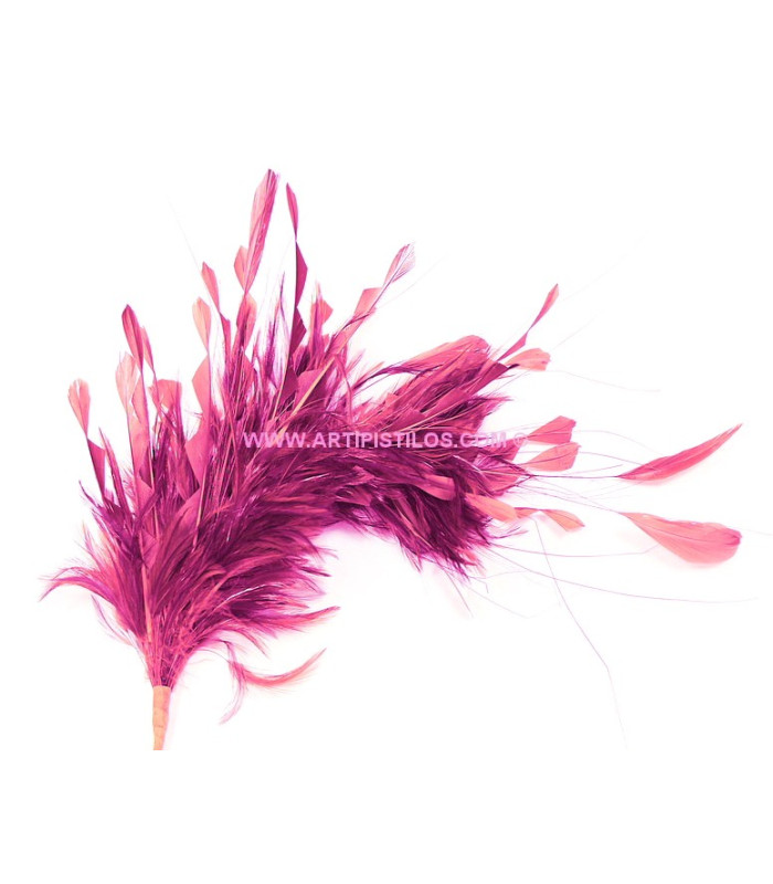 MONTAGE DE PLUMES