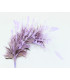 MONTAGE DE PLUMES