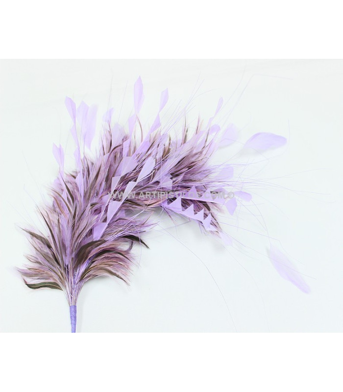 MONTAGE DE PLUMES