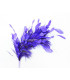 MONTAGE DE PLUMES