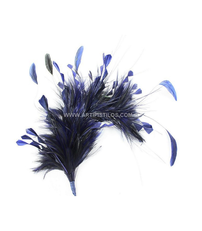 MONTAGE DE PLUMES