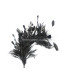 MONTAGE DE PLUMES