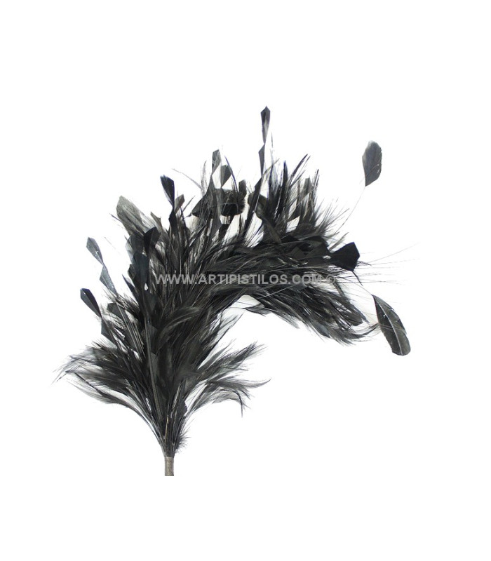 MONTAGE DE PLUMES